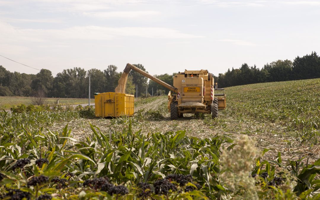 Un partenariat avec la Mutualité Sociale Agricole Midi-Pyrénées Sud pour soutenir les agriculteurs et salariés agricoles en situation de fragilité